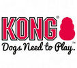 KONG logo