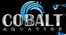 Cobalt Aquatics Lakewood Ohio
