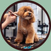Pet Grooming