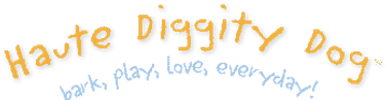 Haute Diggity Dog Hyannis Massachusetts