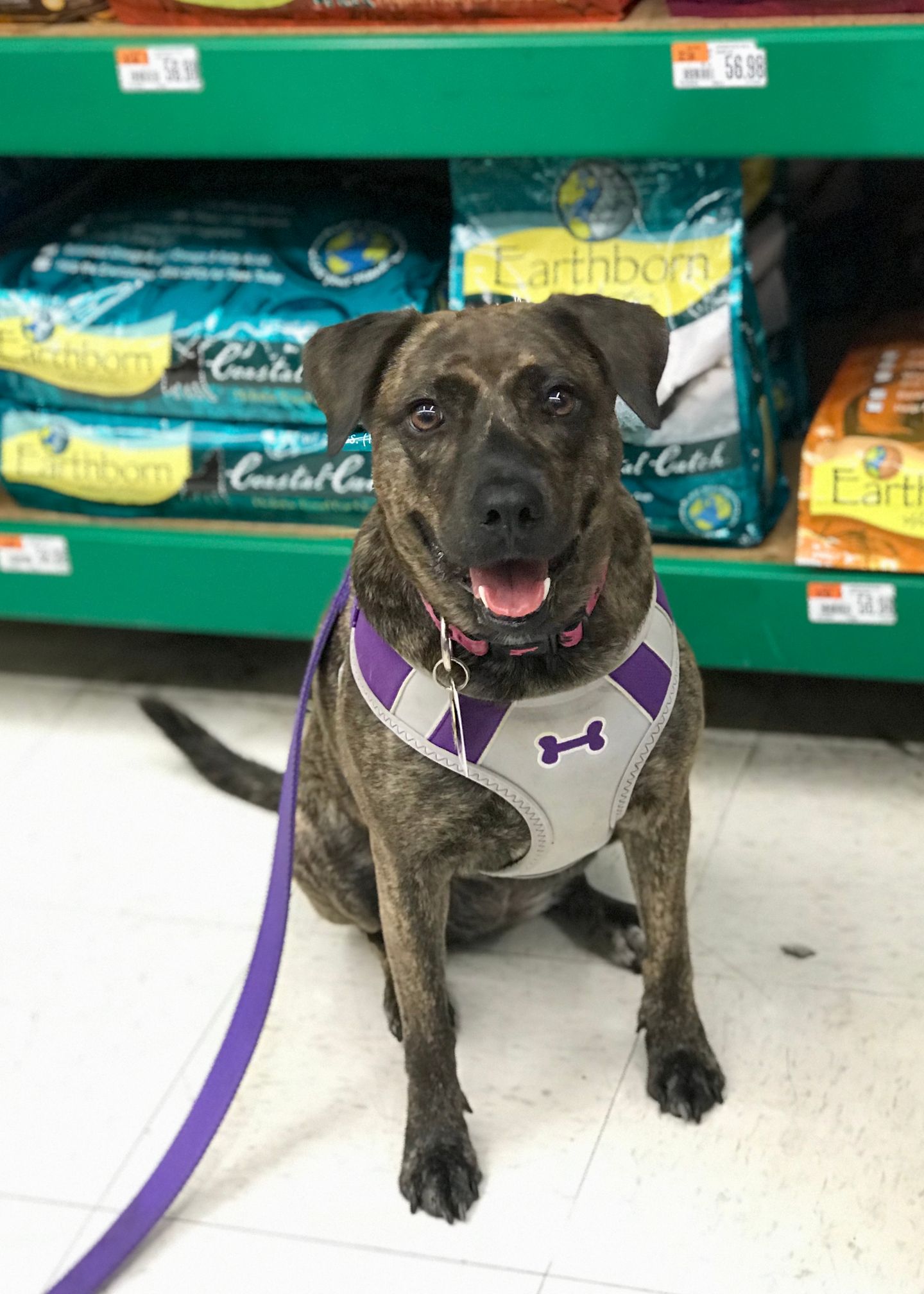 Bailey: Training Success
