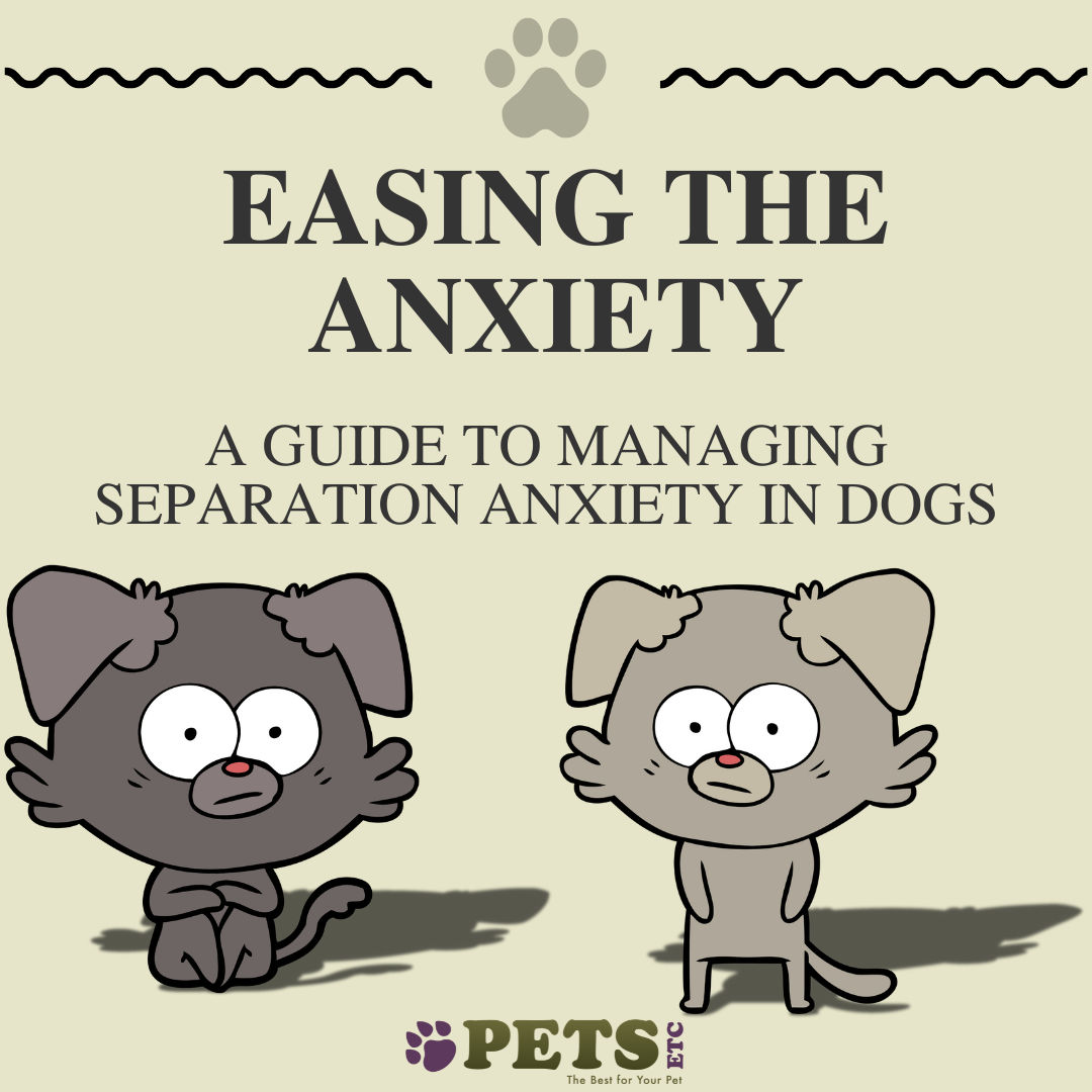 Easing the Anxiety: A Guide to Managing Separation Anxiety in Dogs