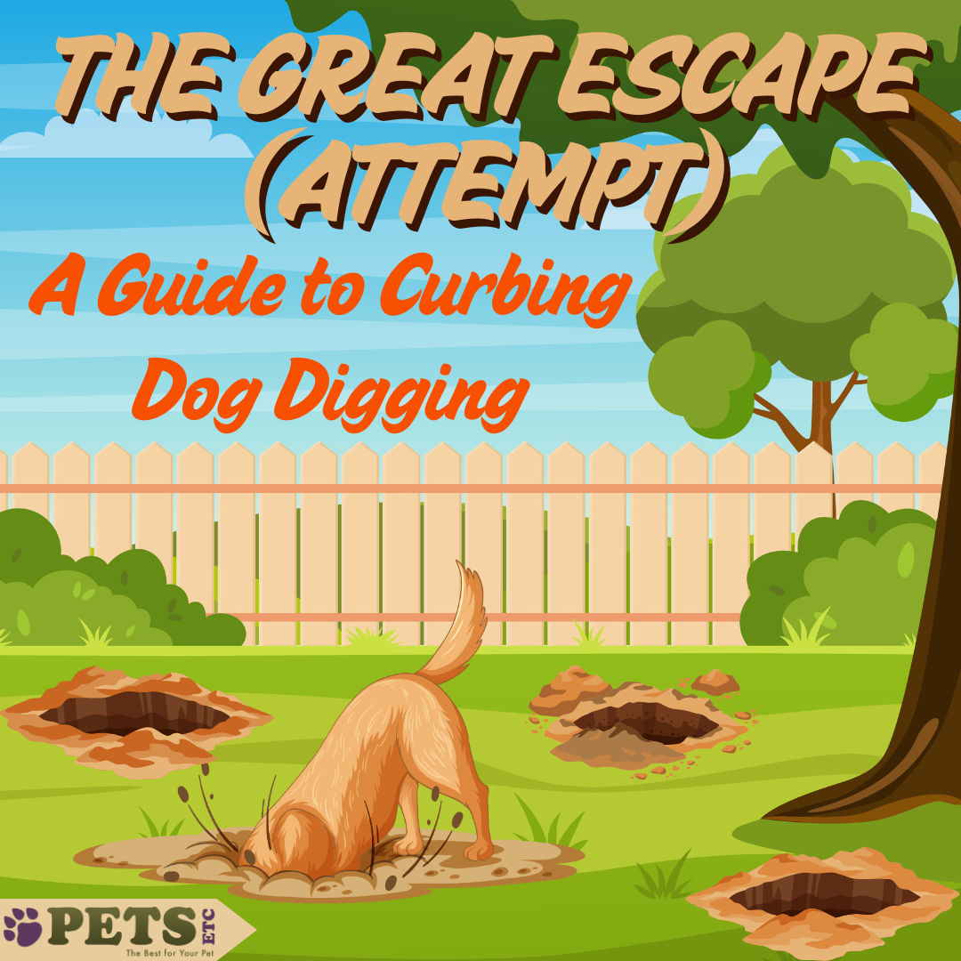 The Great Escape (Attempt): A Guide to Curbing Dog Digging