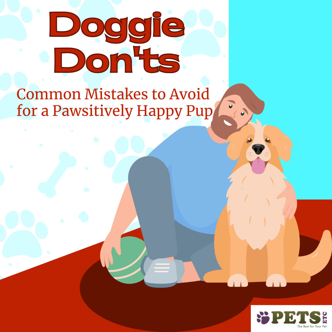 Doggie Don'ts: Common Mistakes to Avoid for a Happy Pup