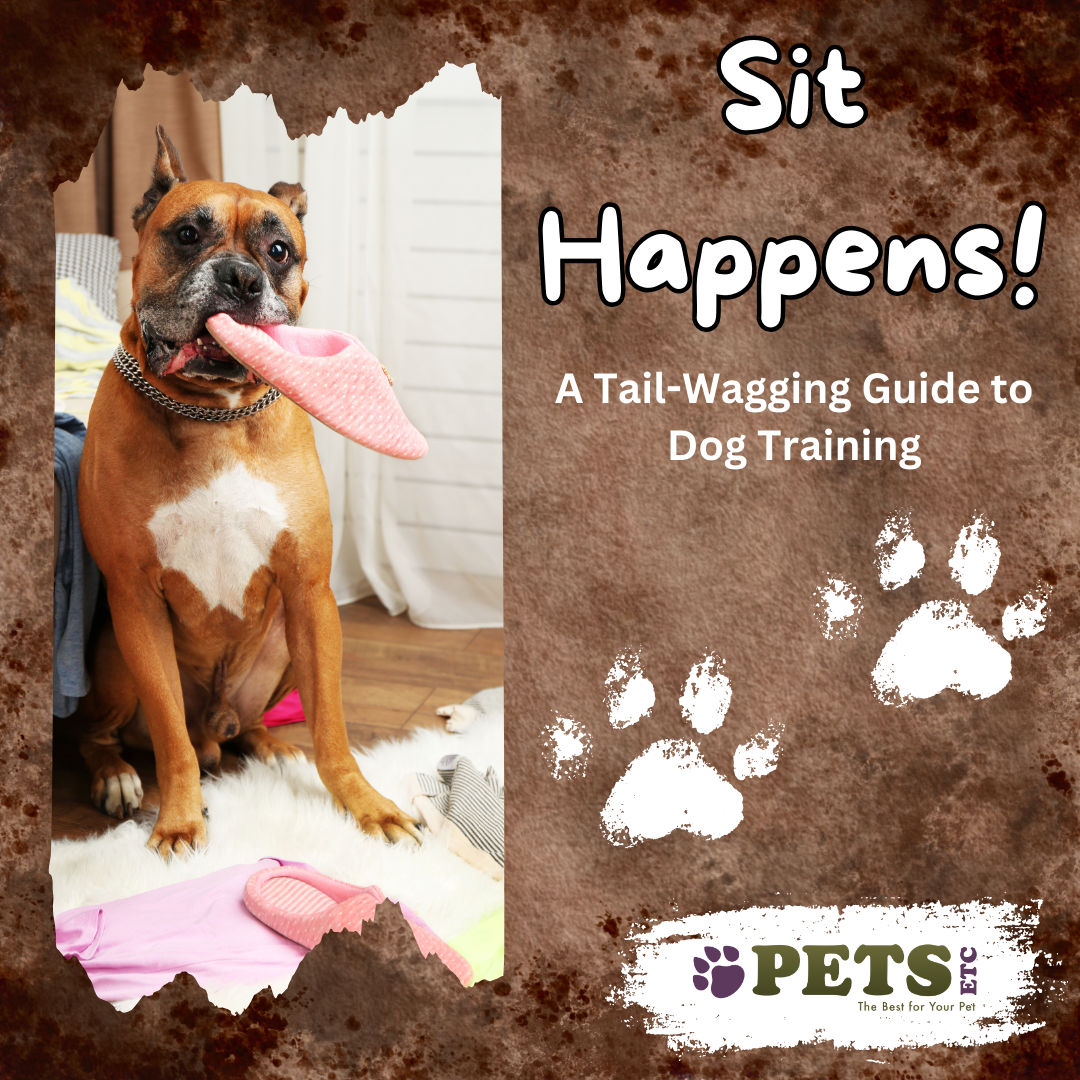 Sit Happens! A Tail-Wagging Guide to Dog Training