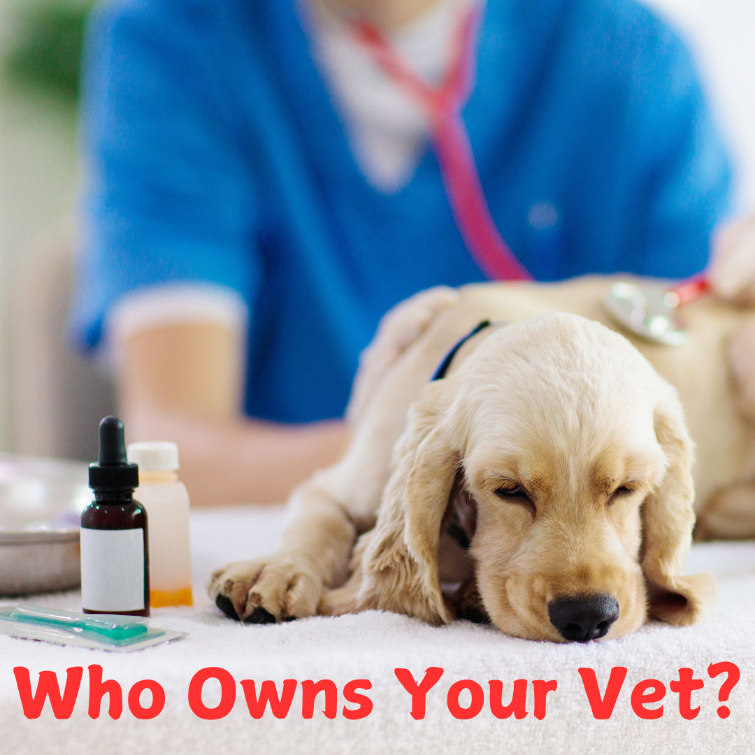 Image of blog post Who Owns Your Vet?