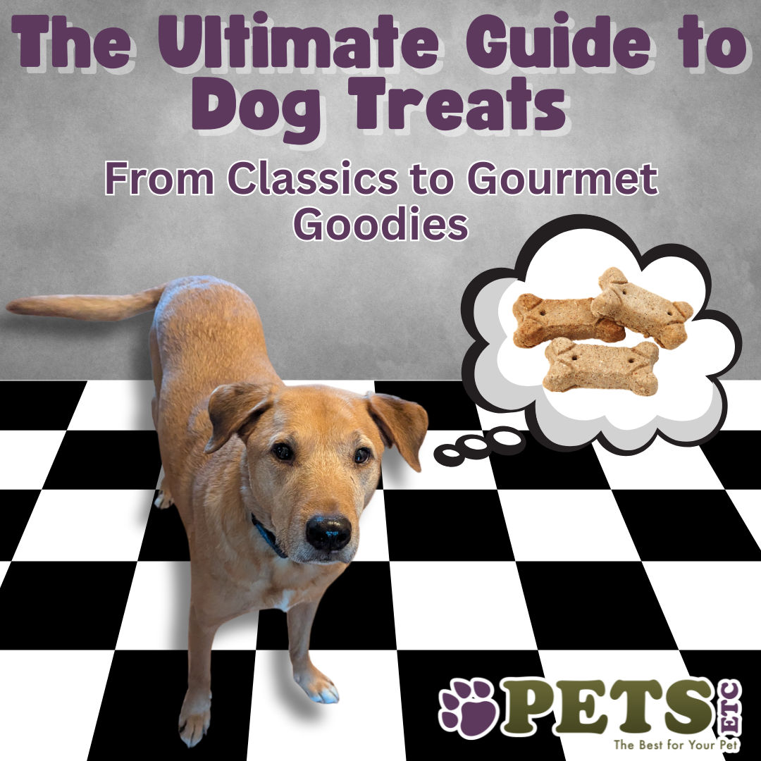 The Ultimate Guide to Dog Treats: From Classics to Gourmet Goodies