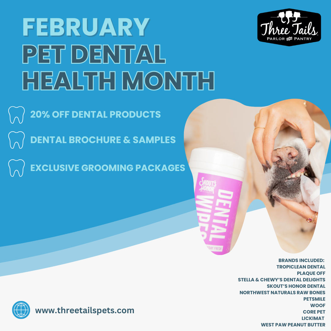 Keep Your Pet Smiling: The Ultimate Guide to Dental Health and February Savings at Three Tails