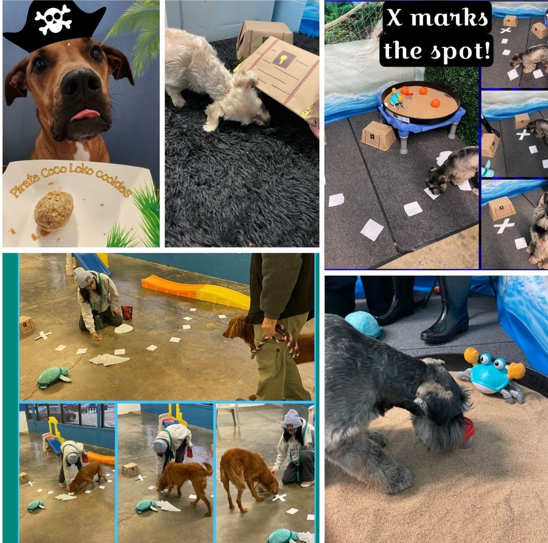 Why we switched from daycare to  a Hybrid Daycare: Enrichment Academy