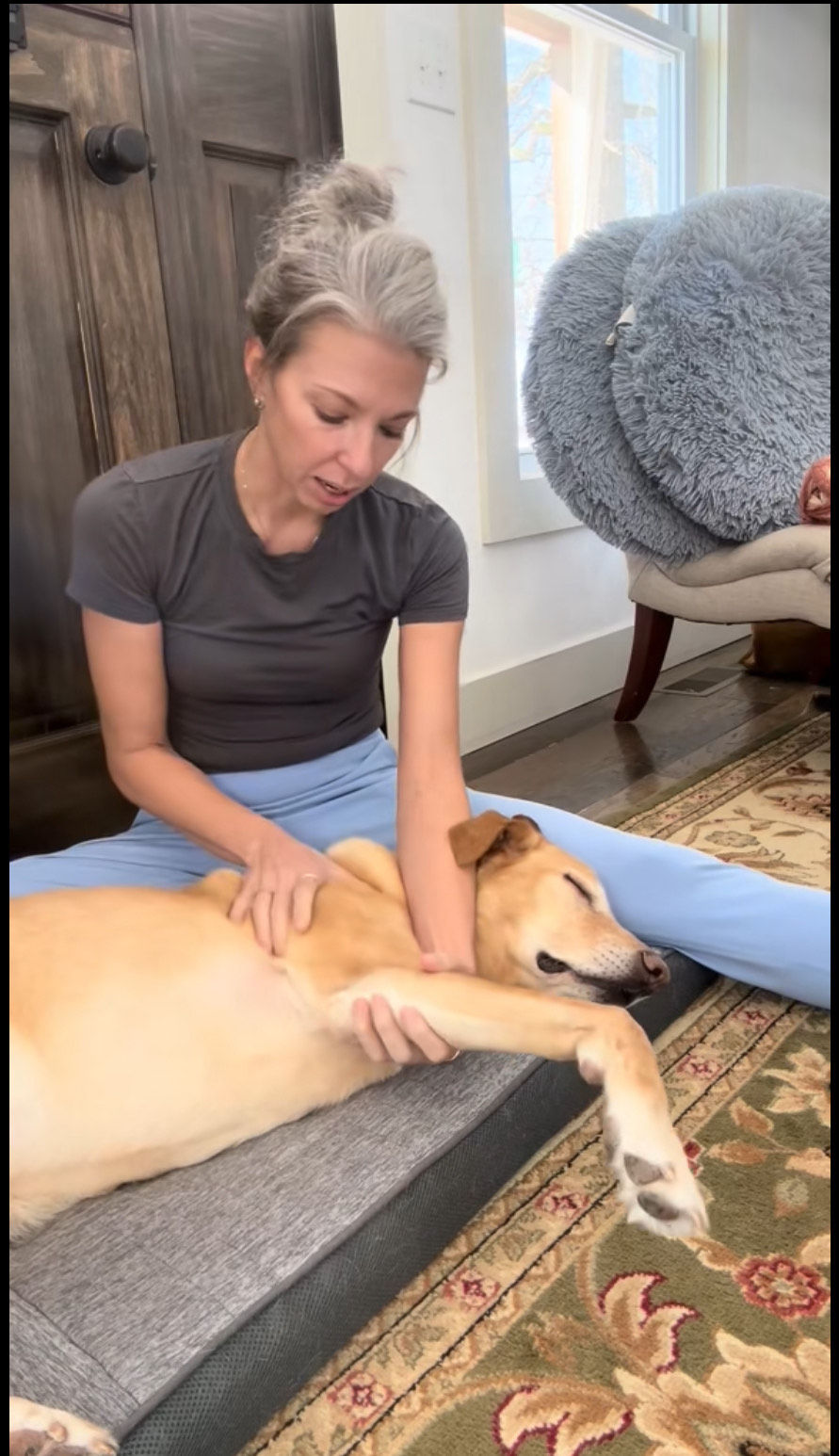 K-9 Kinetics Treatment Area