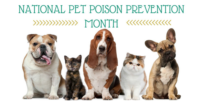 National Pet Poison Prevention Awareness Month