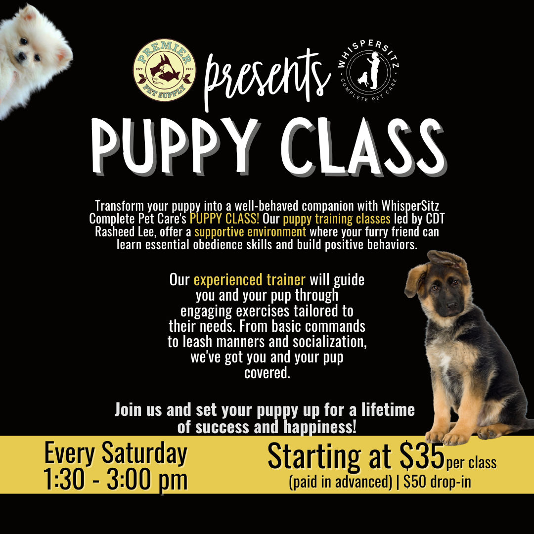 Image of Local Pet Event WhisperSitz Puppy Training Class | Beverly Hills Nearby