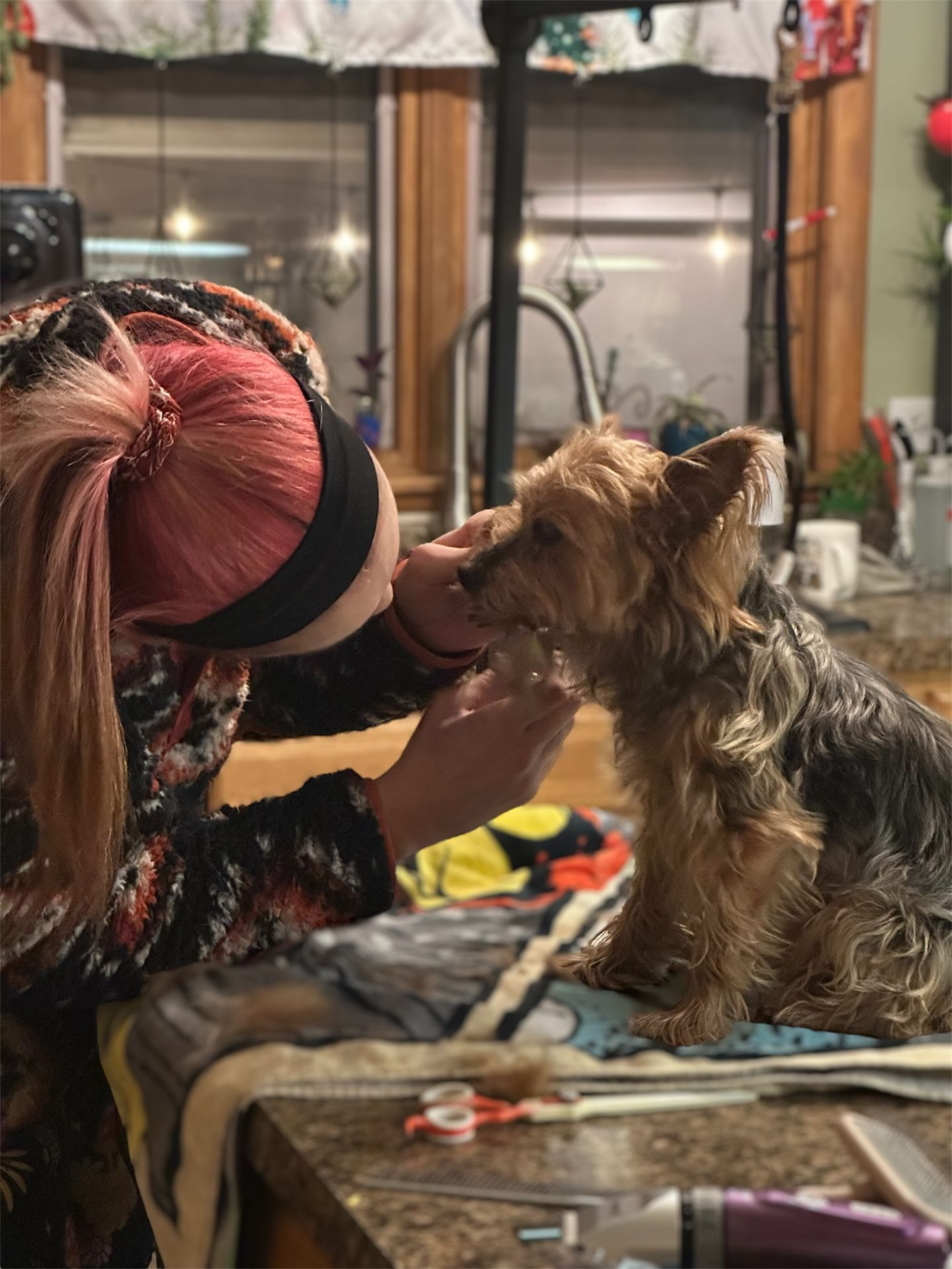 A groomer giving a dog a haircut