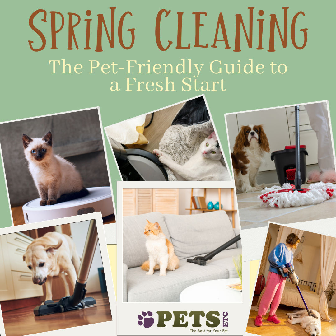 Image of blog post Spring Cleaning: The Pet-Friendly Guide to a Fresh Start