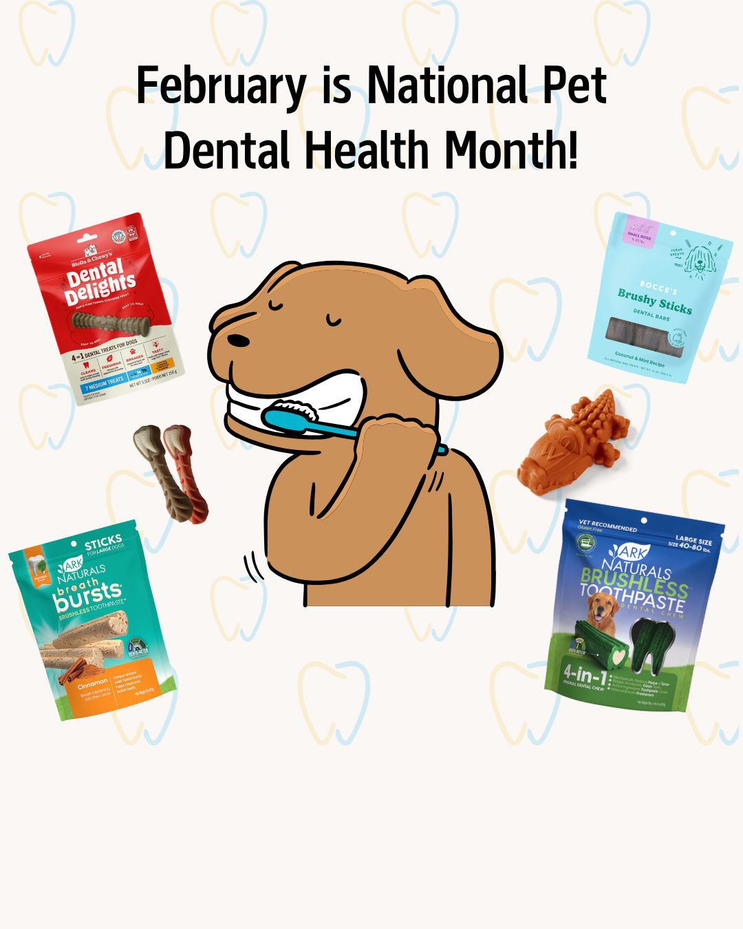 Image of blog post February is National Pet Dental Health Month!