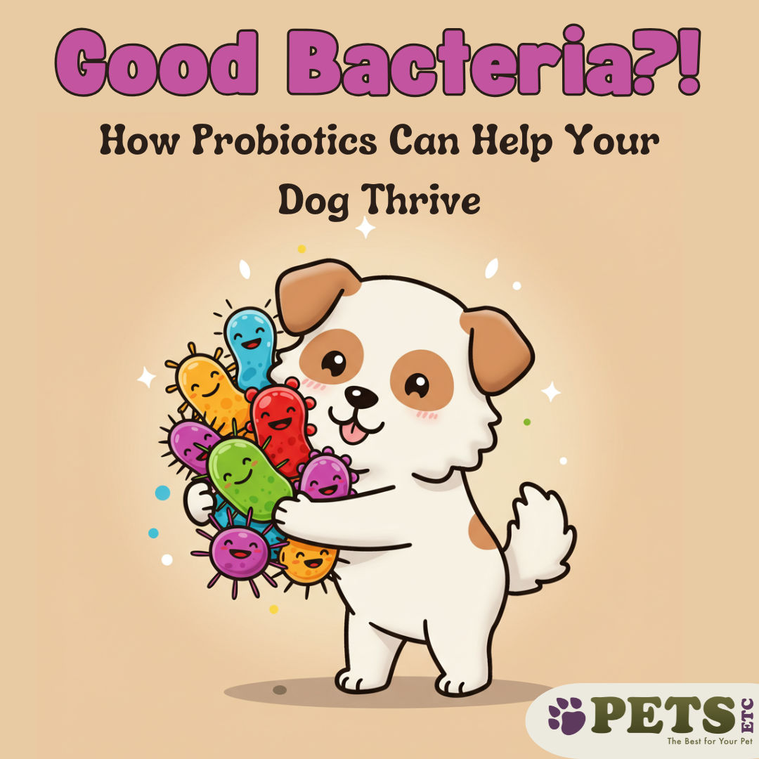 Good Bacteria?! How Probiotics Can Help Your Dog Thrive