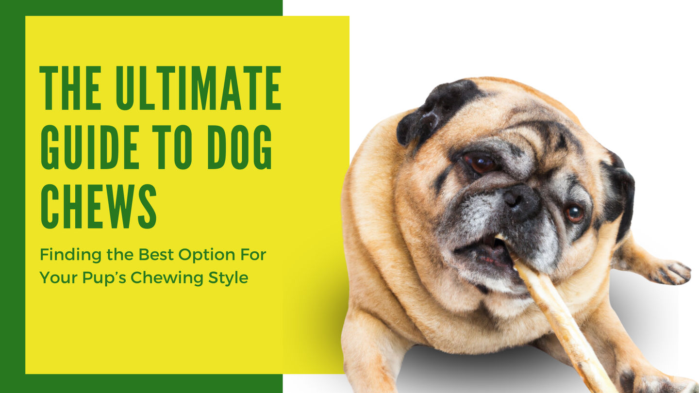 The Ultimate Guide to Dog Chews