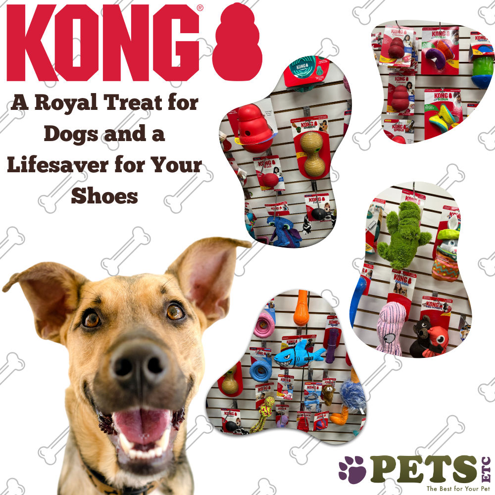 KONG: A Royal Treat for Dogs and a Lifesaver for Your Shoes