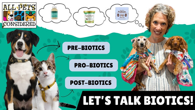 Pre, Pro and Post Biotics, What does your pet need?