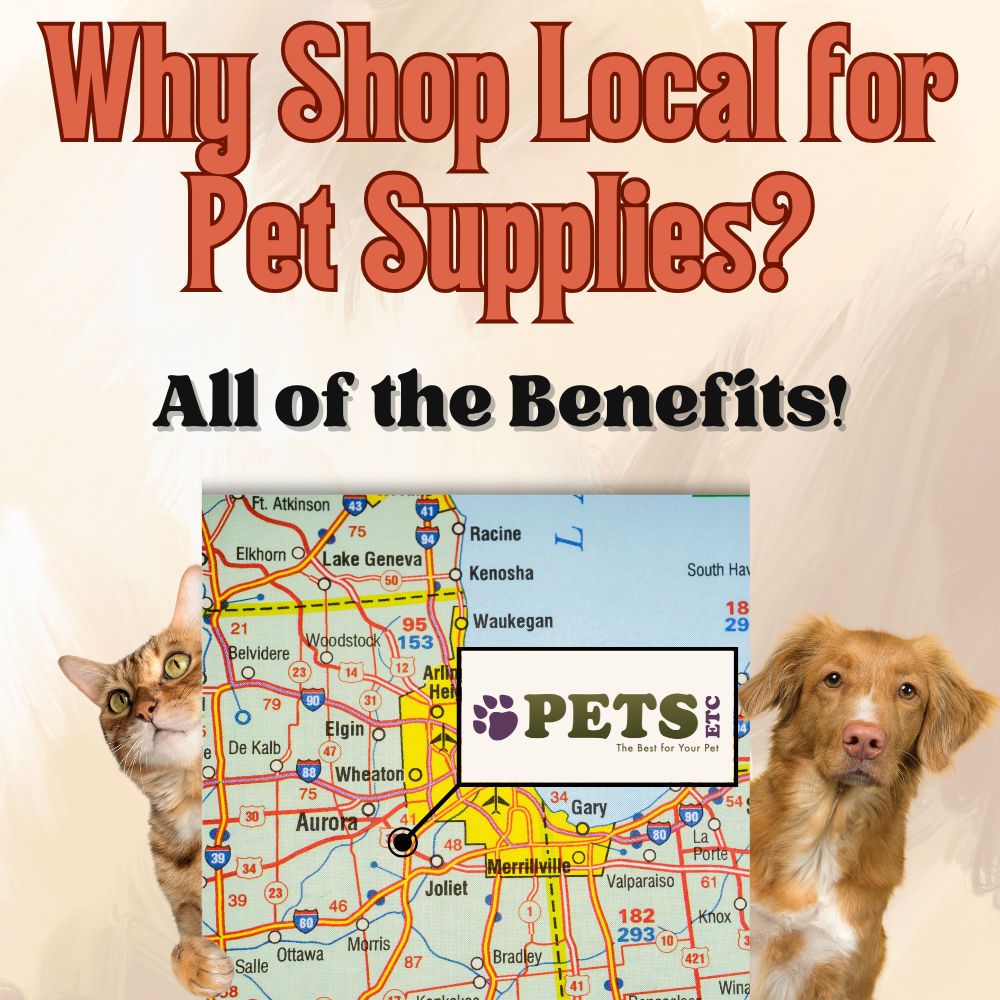 Why Shop Local for Pet Supplies? All of the Benefits!