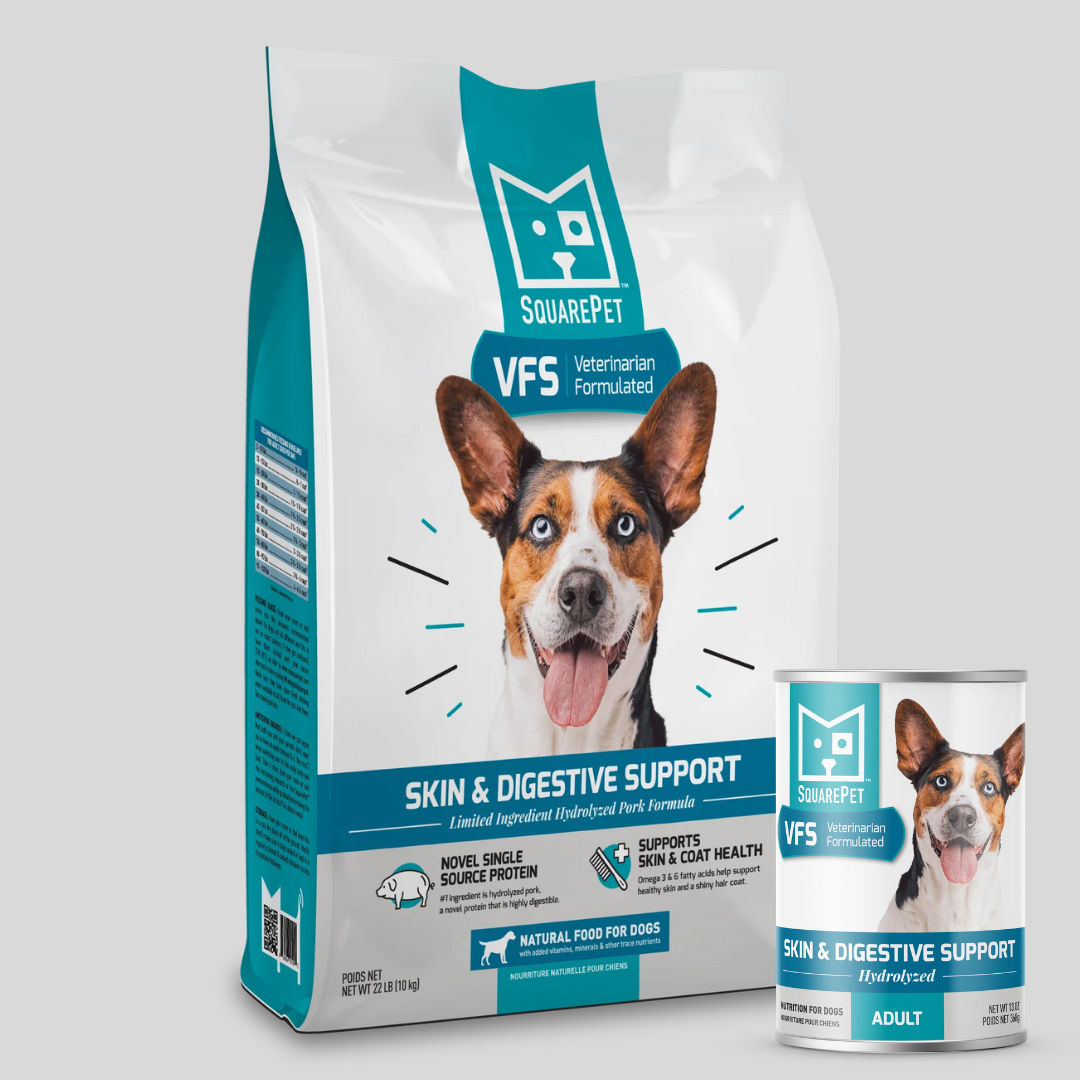 Supporting Sensitive Pups: How VFS® Skin & Digestive Support Can Help