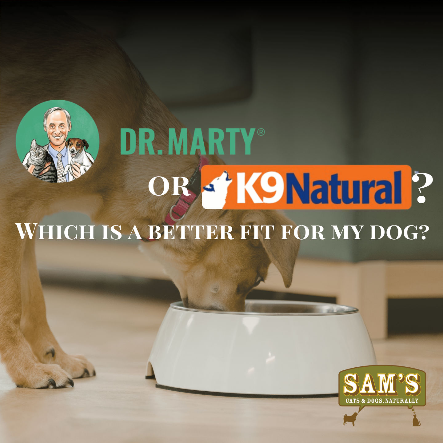 who owns orijen dog food Orijen Original Dry Dog Food