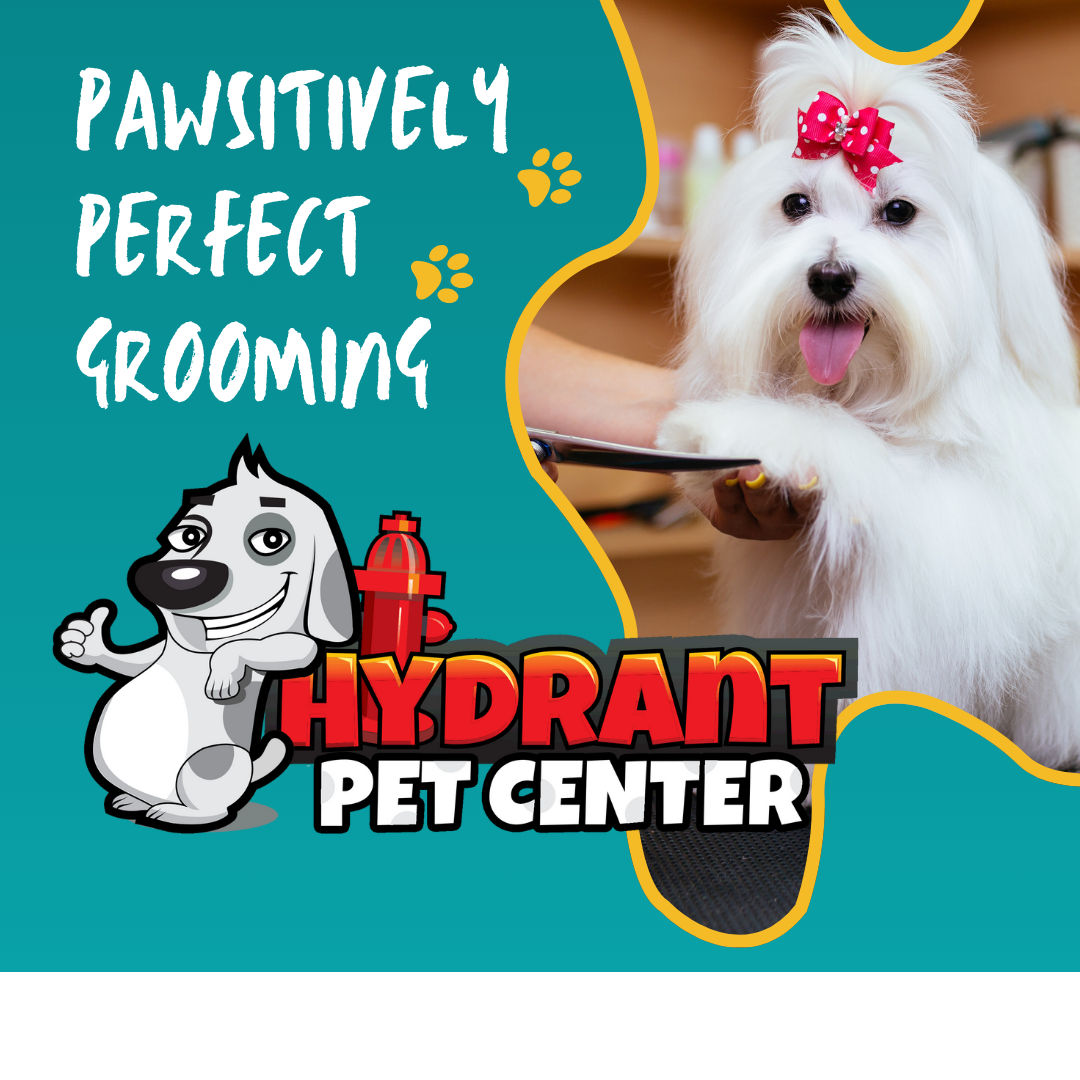 Why Did My Groomer Give My Dog a Different Haircut Than I Asked For?
