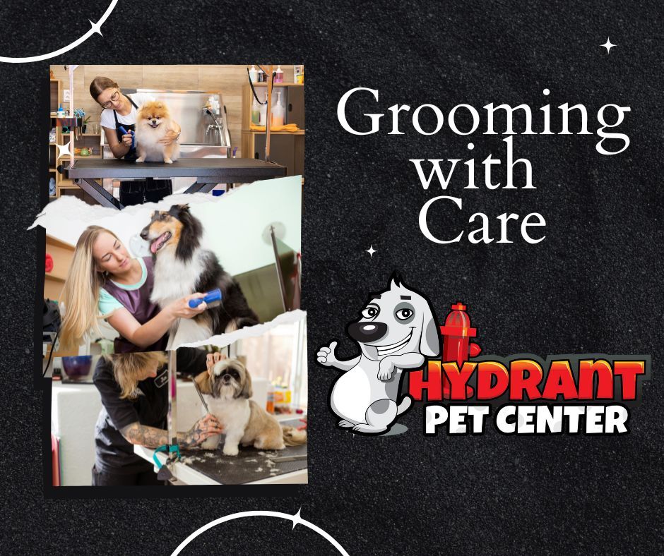 Understanding Grooming Accidents: What Pet Owners Should Know