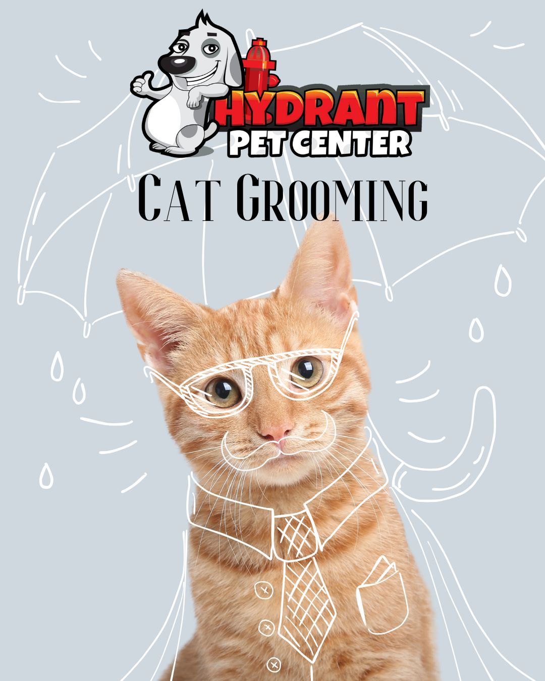 Cat Grooming: Everything You Need to Know