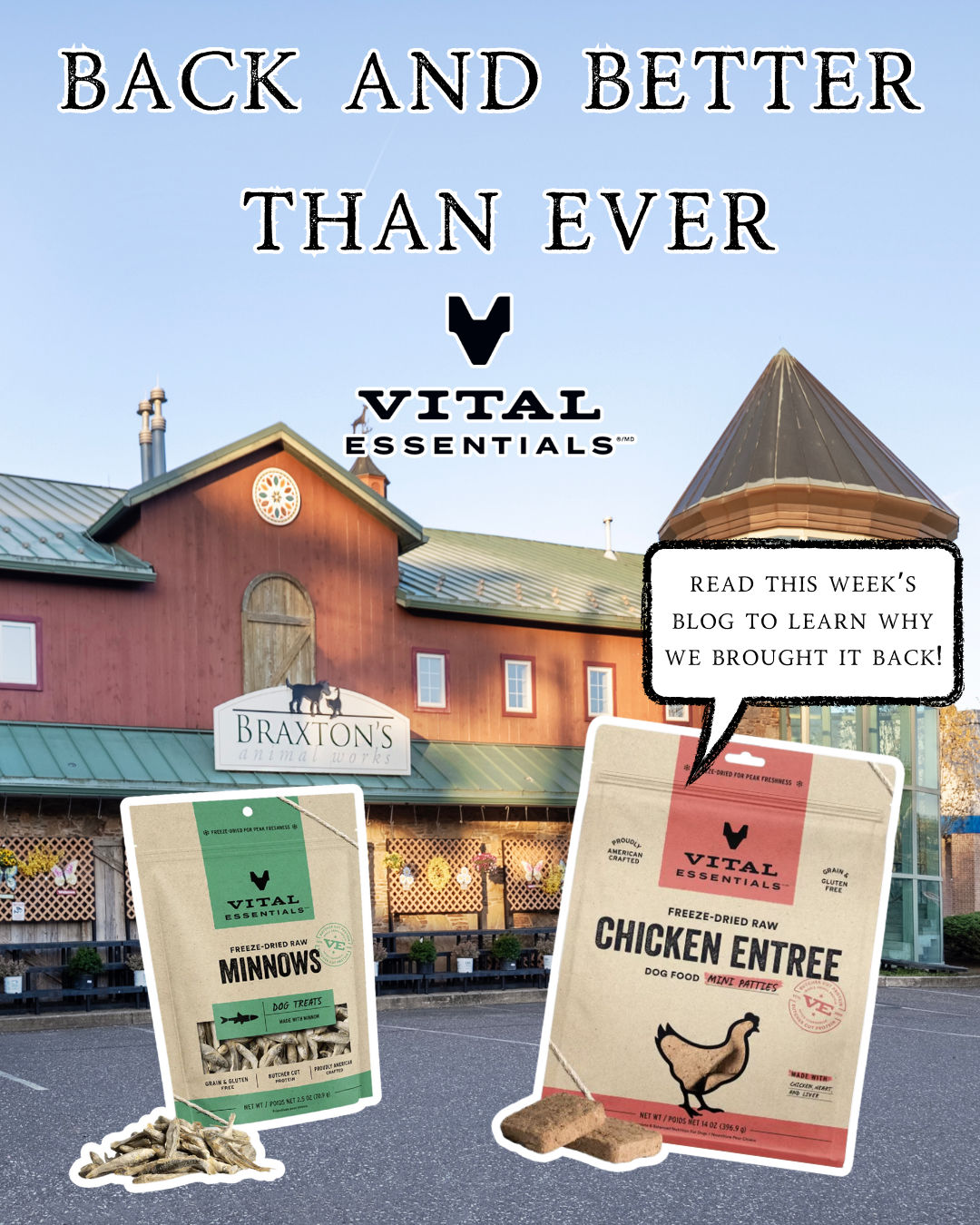 Reintroducing Vital Essentials Raw Pet Food at Braxton’s