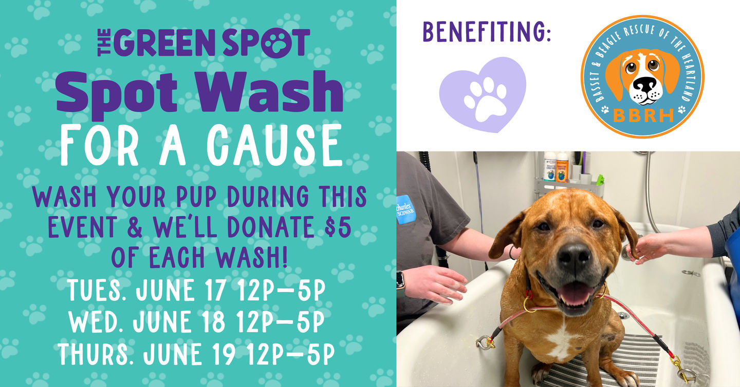 Image of Local Pet Event June Spot Wash for a Cause – Basset & Beagle Rescue! Nearby