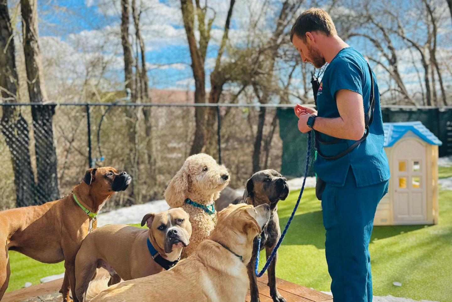 The Benefits of PLAYtrain® Doggie Daycare
