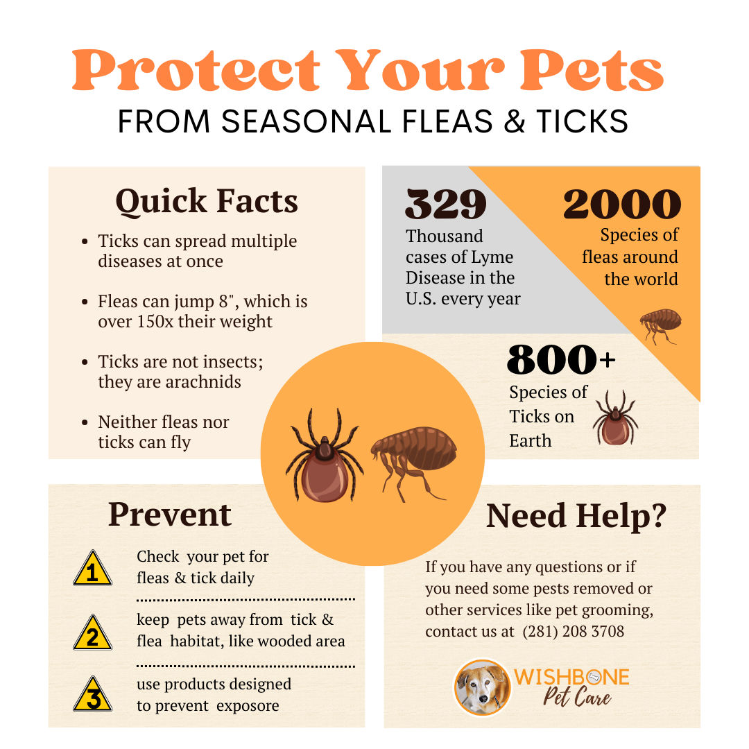 When is Flea And Tick Season: Essential Tips to Protect Your Pets