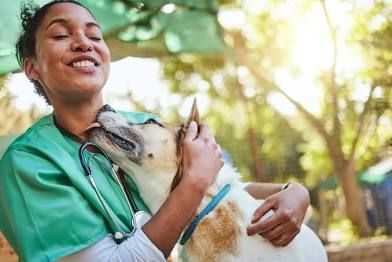 When Training Isn’t the Answer: How Medical Issues Can Masquerade as Behavior Problems in Dogs