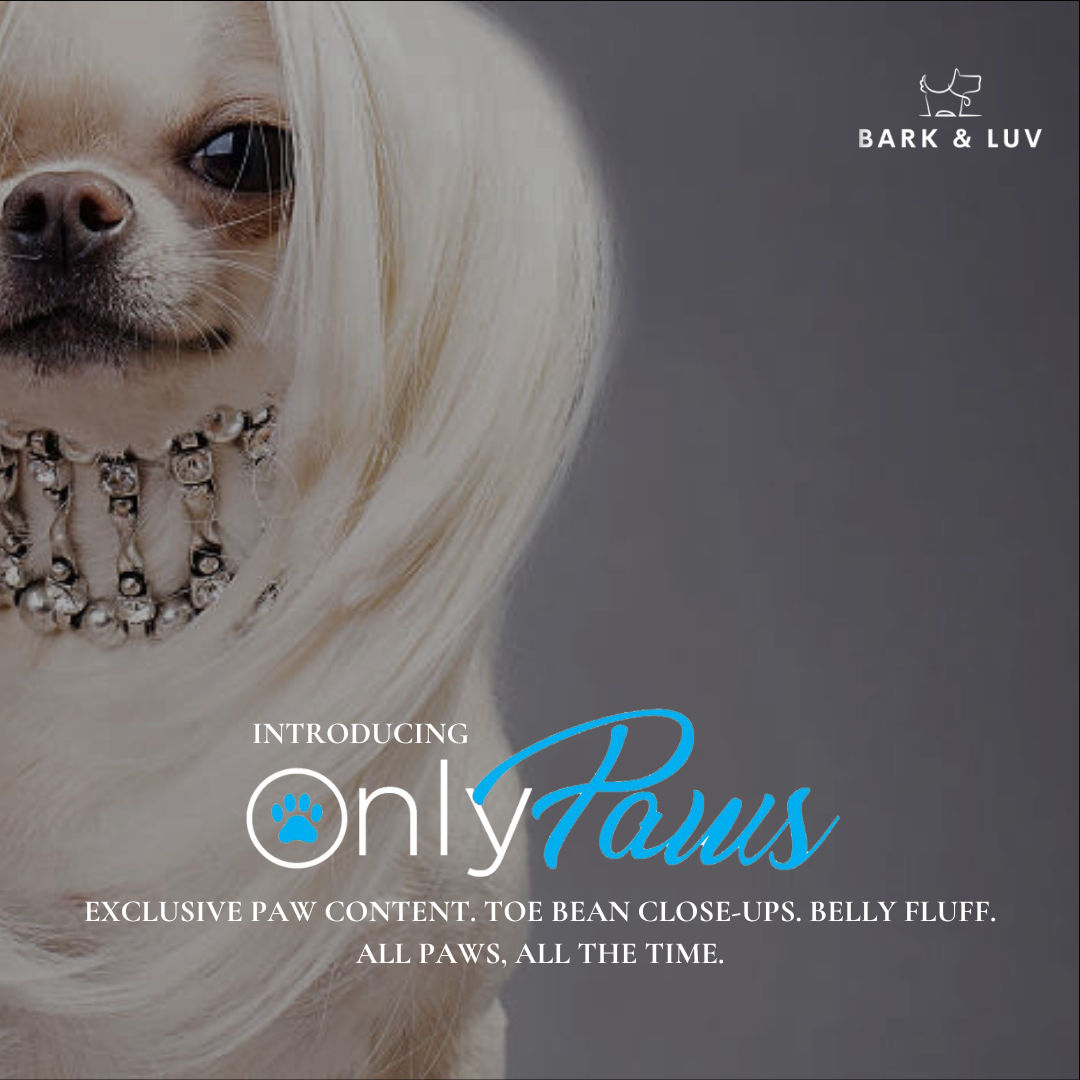 Image of blog post Bark & Luv's OnlyPaws Launch