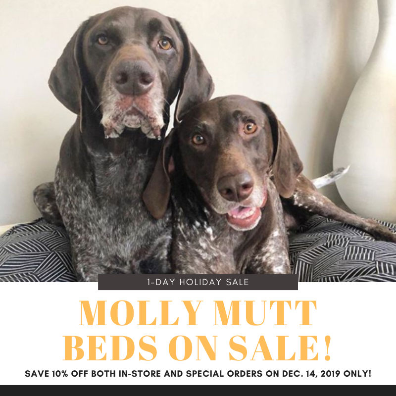 1 Day Sale Molly Mutt Beds And Accessories Webster Texas