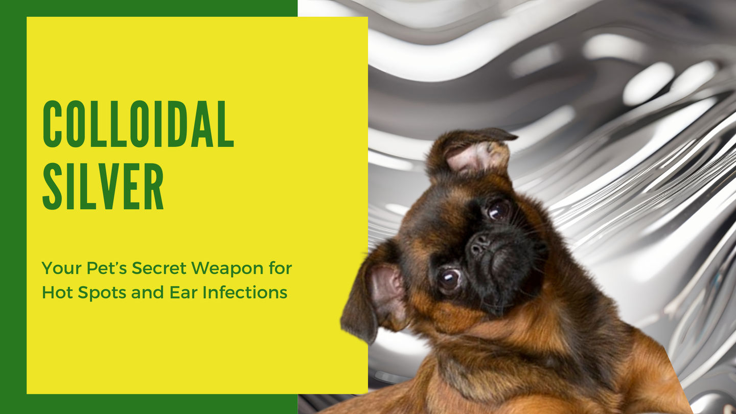 Colloidal Silver: Your Pet's Secret Weapon