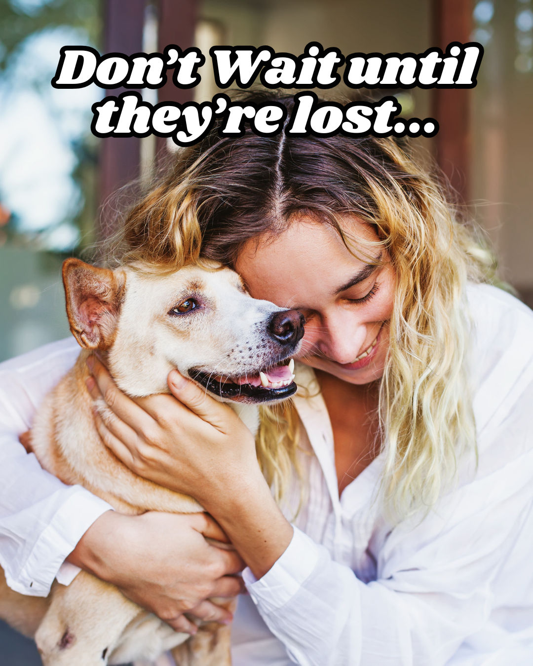Keep Them Safe: Why ID Tags, Microchips & Licenses Matter for Every Pet