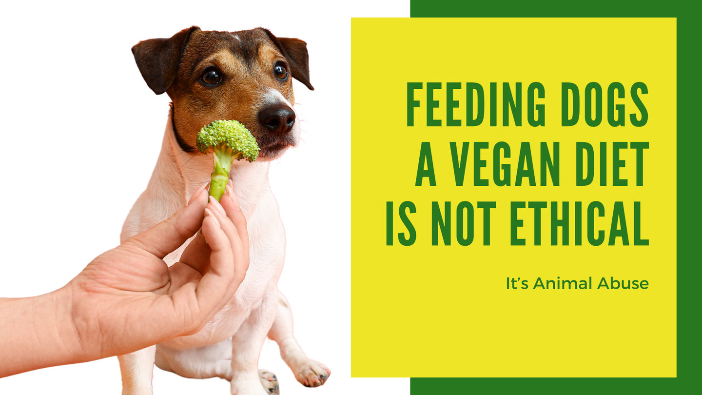 Feeding Dogs a Vegan Diet is Not Ethical -- It's Animal Abuse