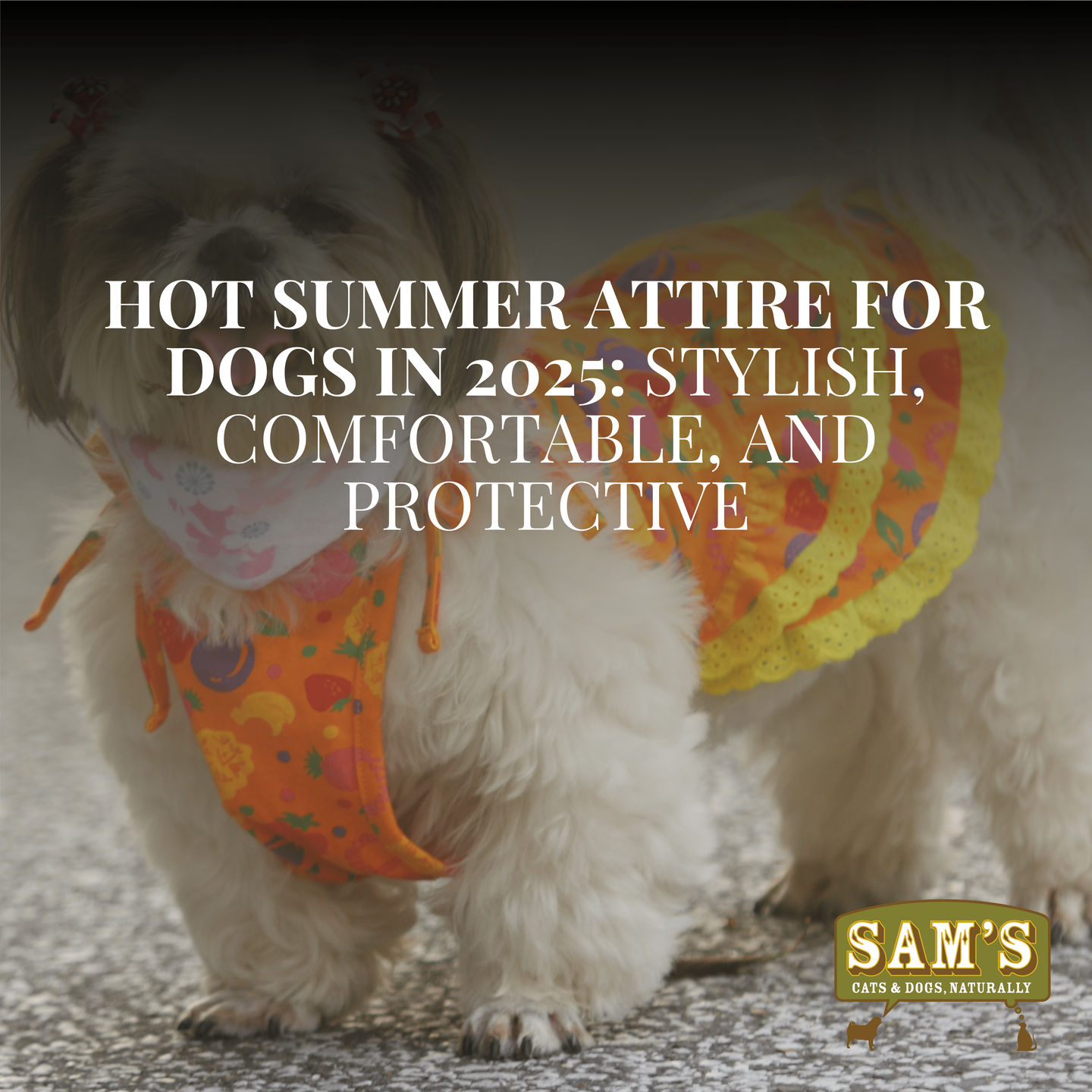 Hot Summer Attire for Dogs in 2025: Stylish, Comfortable, and Protective