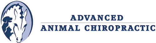 Advanced Animal Chiropractic Logo