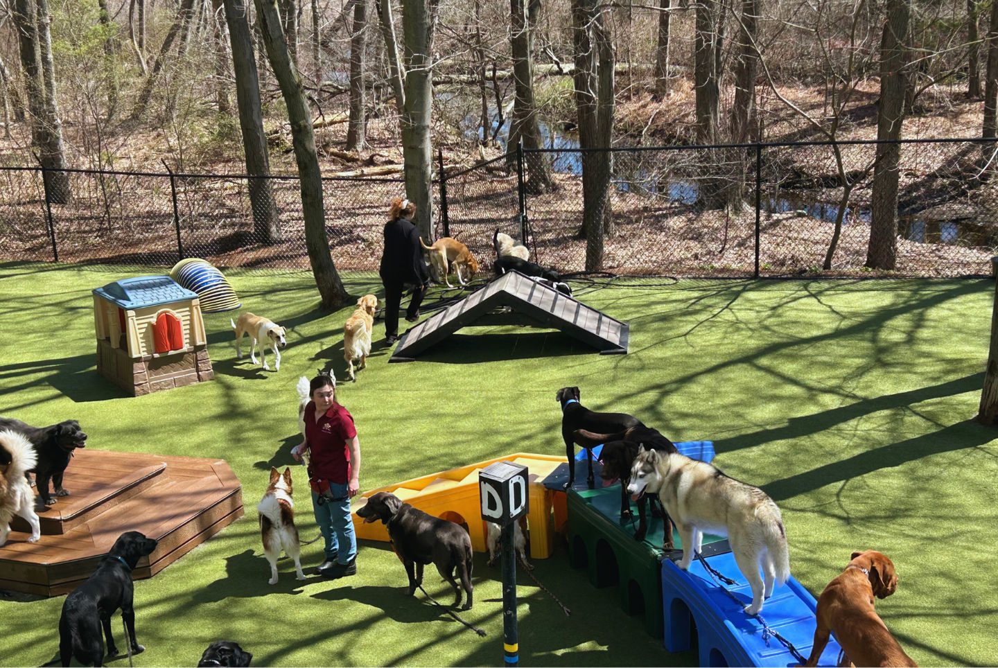 PLAYtrain® Frequently Asked Questions