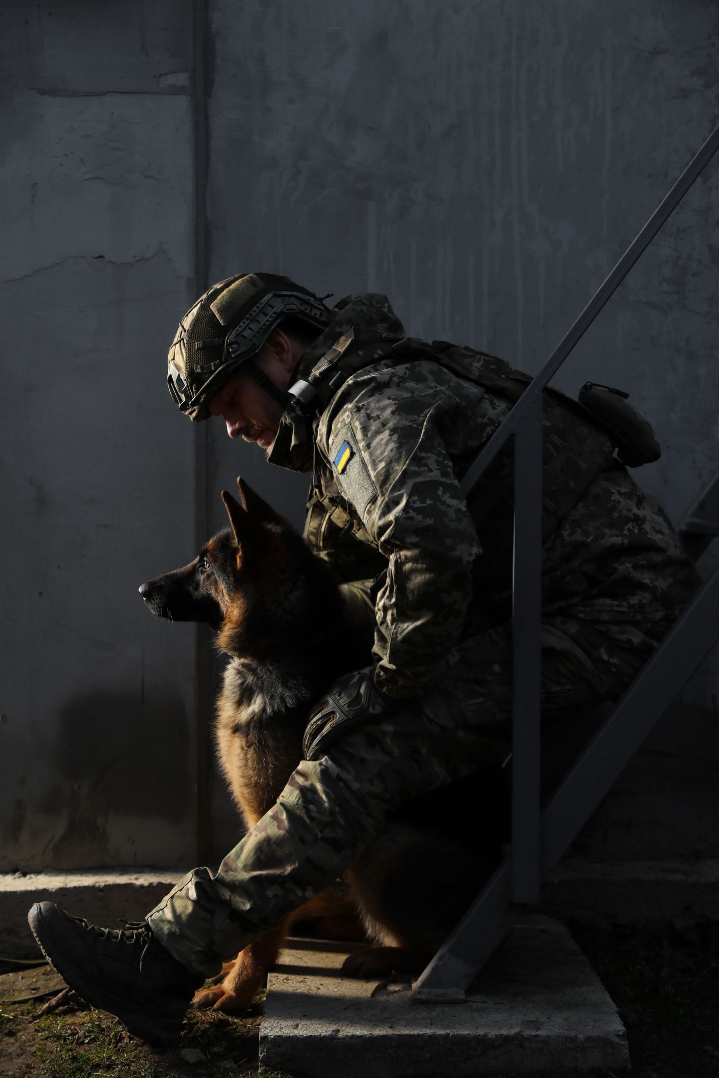 Image of blog post The Unbreakable Bond: Dogs and Veterans