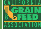 CGFA Logo