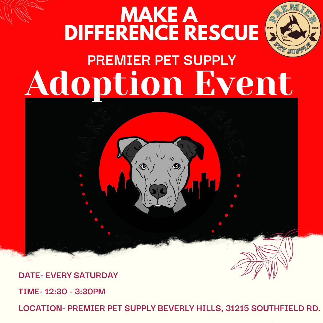 Image of Local Pet Event MAKE A DIFFERENCE RESCUE ADOPTION EVENT | BEVERLY HILLS Nearby