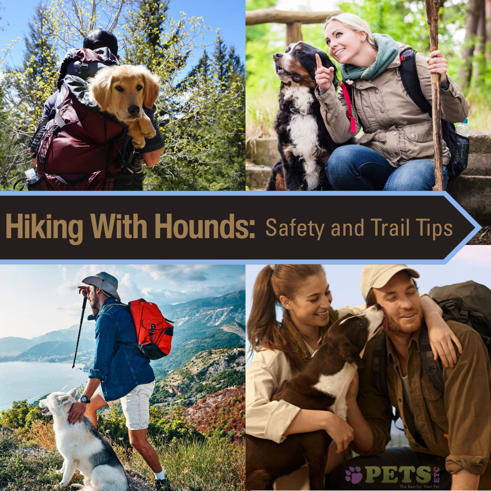 Hiking With Hounds: Safety and Trail Tips