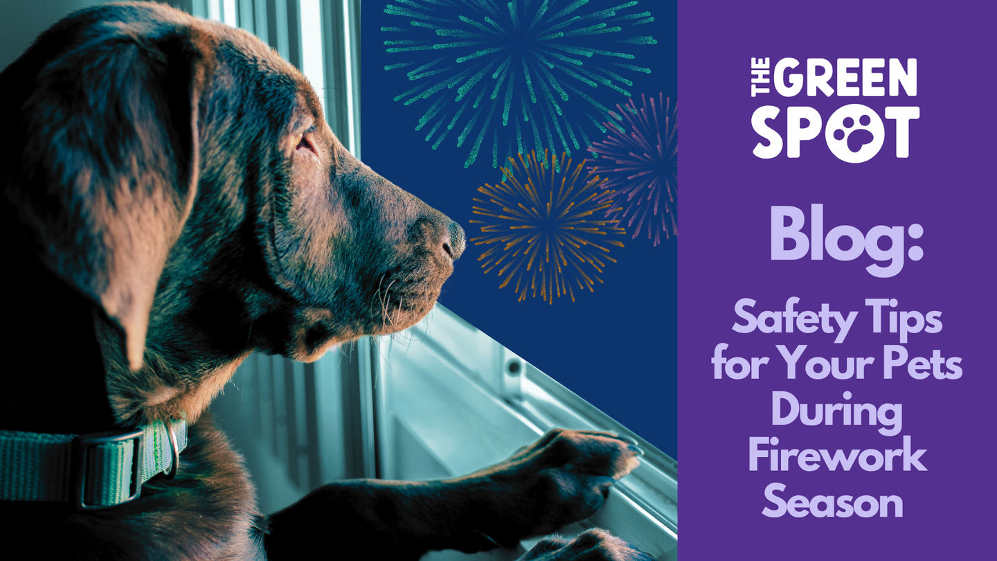 Safety Tips During Firework Season for Omaha Pets