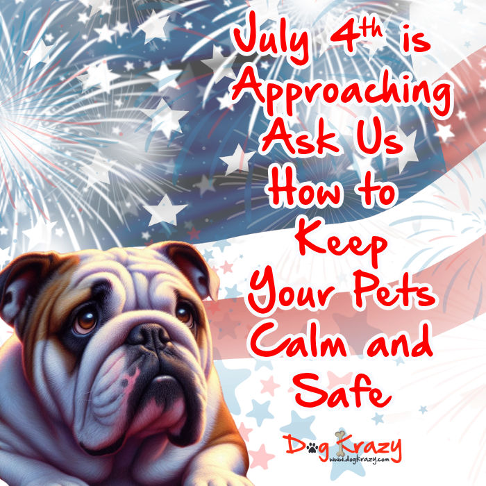 July 4th Is Coming – Here’s How to Keep Your Pets Calm and Safe