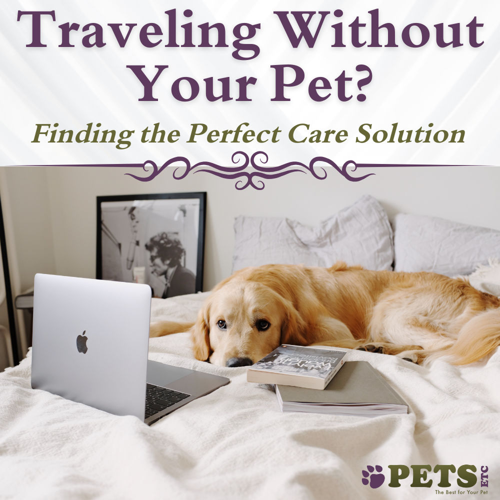 Traveling Without Your Pet? Finding the Perfect Care Solution