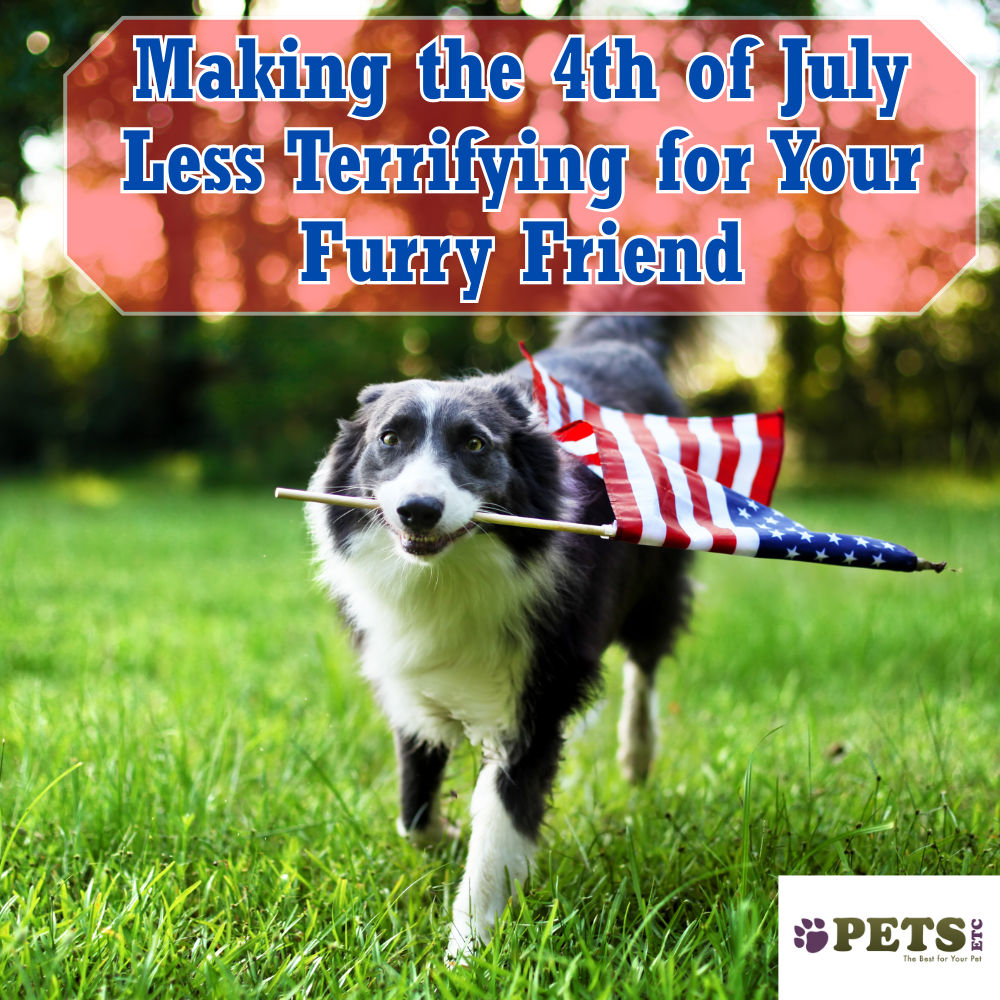 Making the 4th of July Less Terrifying for Your Furry Friend